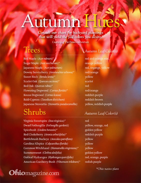 Autumn Hues Chart