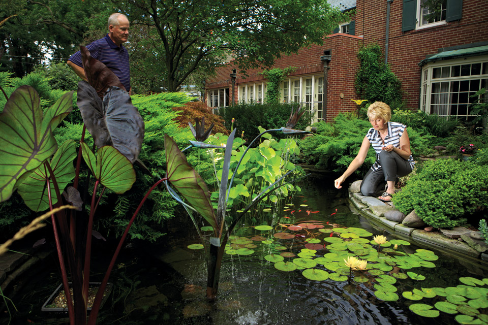 Havills Koi Pond