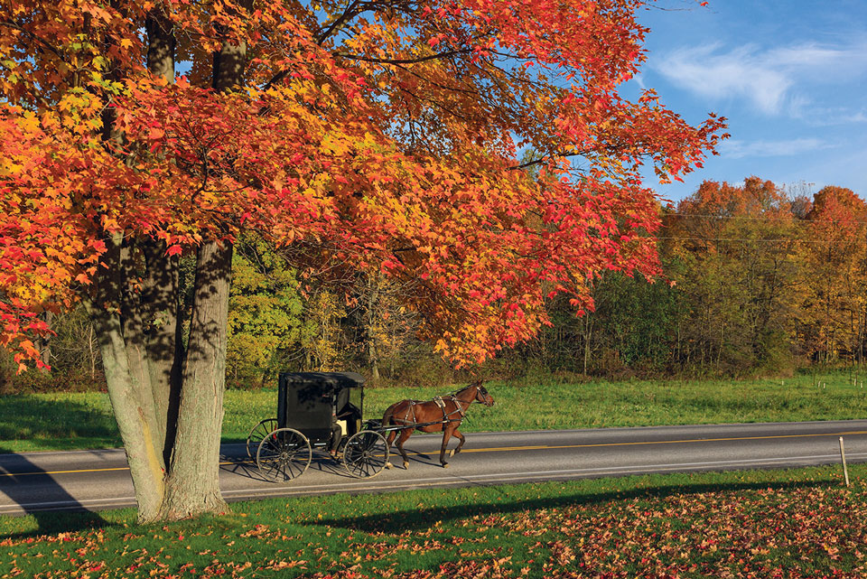 amishcountry.jpg?sfvrsn=ddf8ae38_2