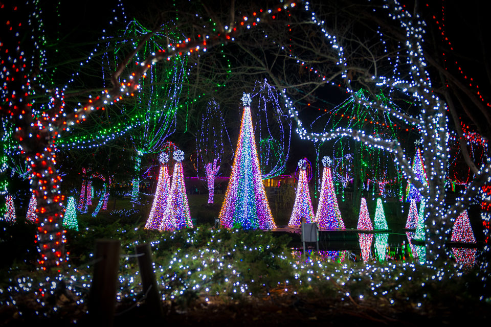 Columbus-Wildlights