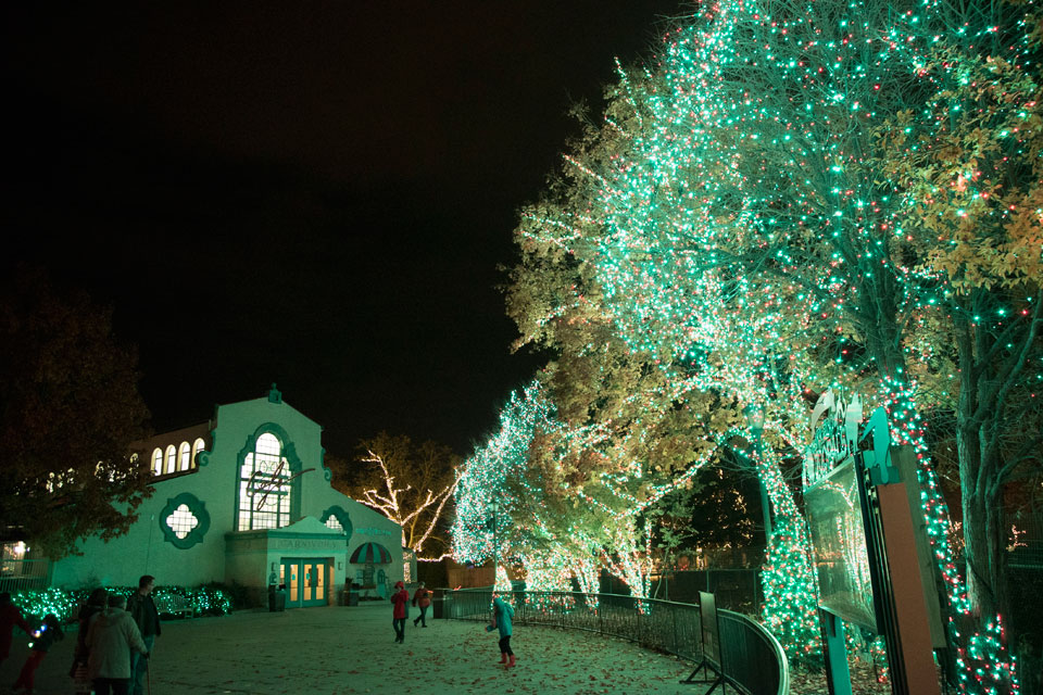 Holiday-lights-Toledo-Zoo