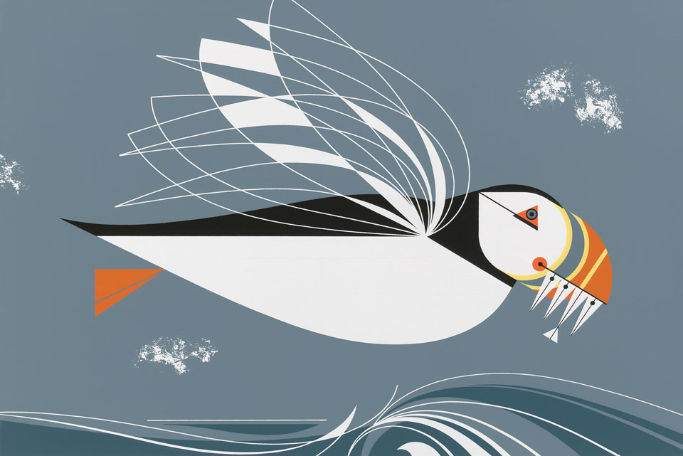 The Timeless Art of Wildlife Illustrator Charley Harper
