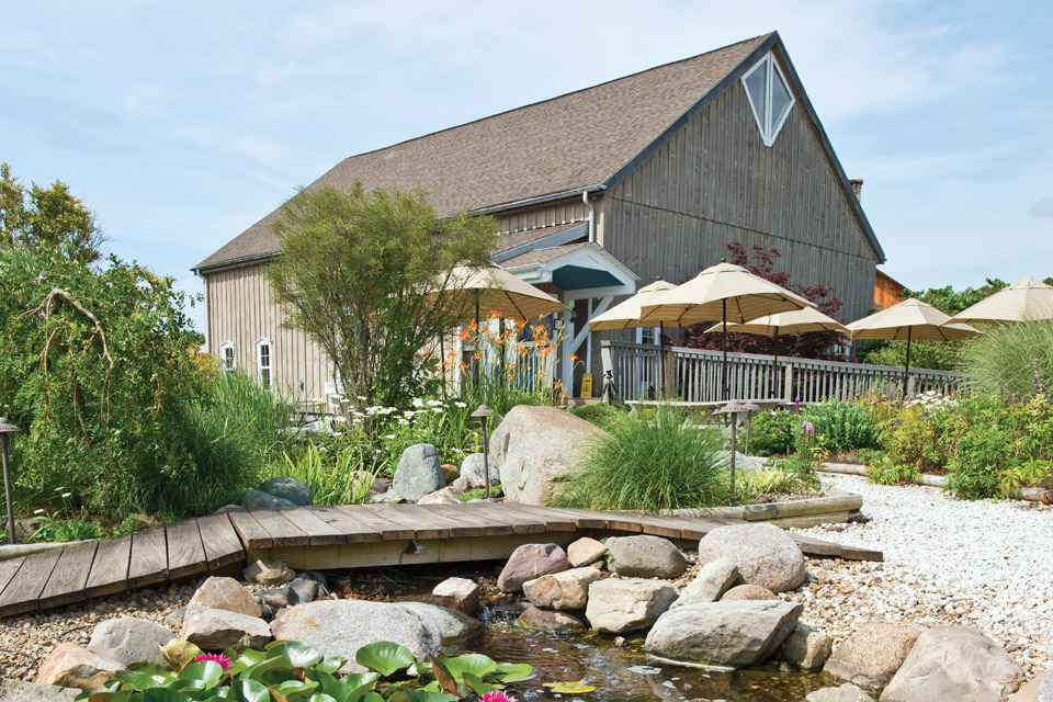 Sarah's Vineyard in Cuyahoga Falls