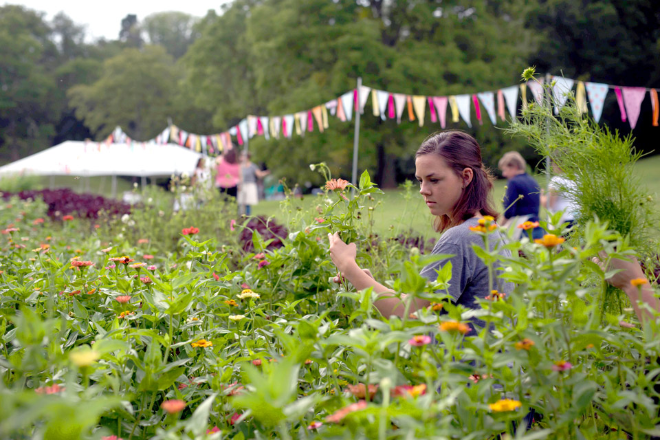 Best-of-Flower-Farm