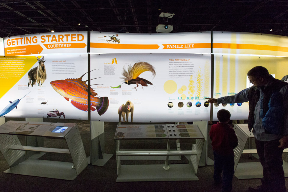 A family looks at displays in the exhibition