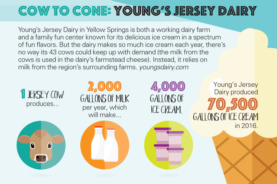 Young's Jersey Dairy