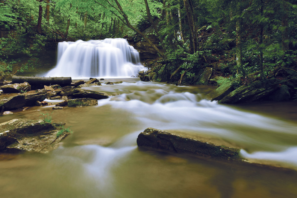 West Virginia's Holly River State Park 