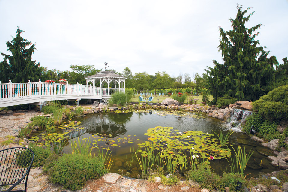 pond-at-Chateau-Tebeau_Winery