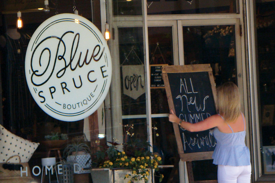 Blue Spruce in downtown Wooster