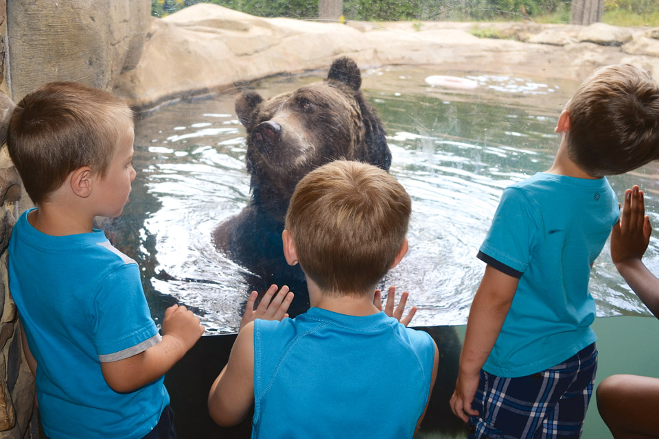 Akron Zoo