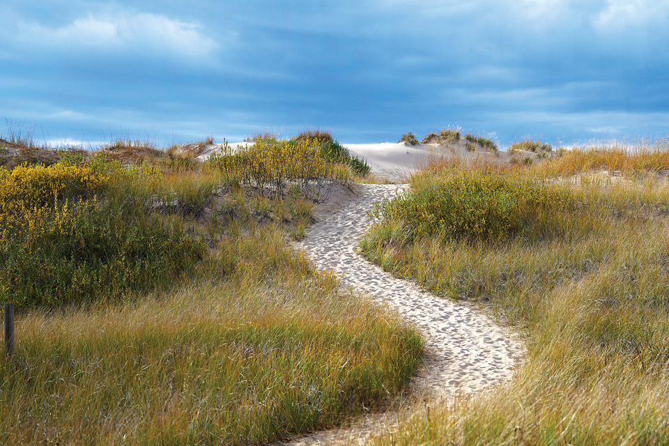 Ludington State Park