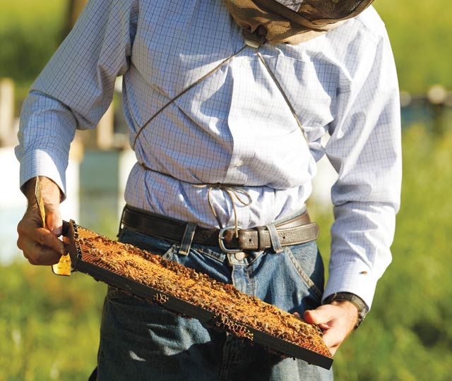 Isaac Barnes working at Honeyrun Farm