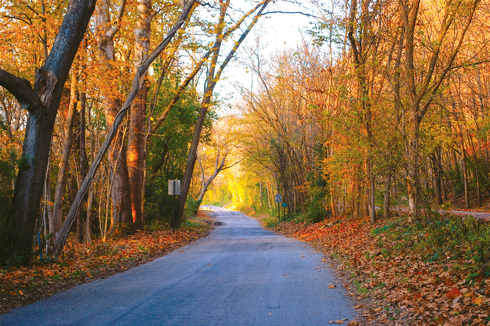 Little Miami Scenic Trial (photo by Mike Egan)