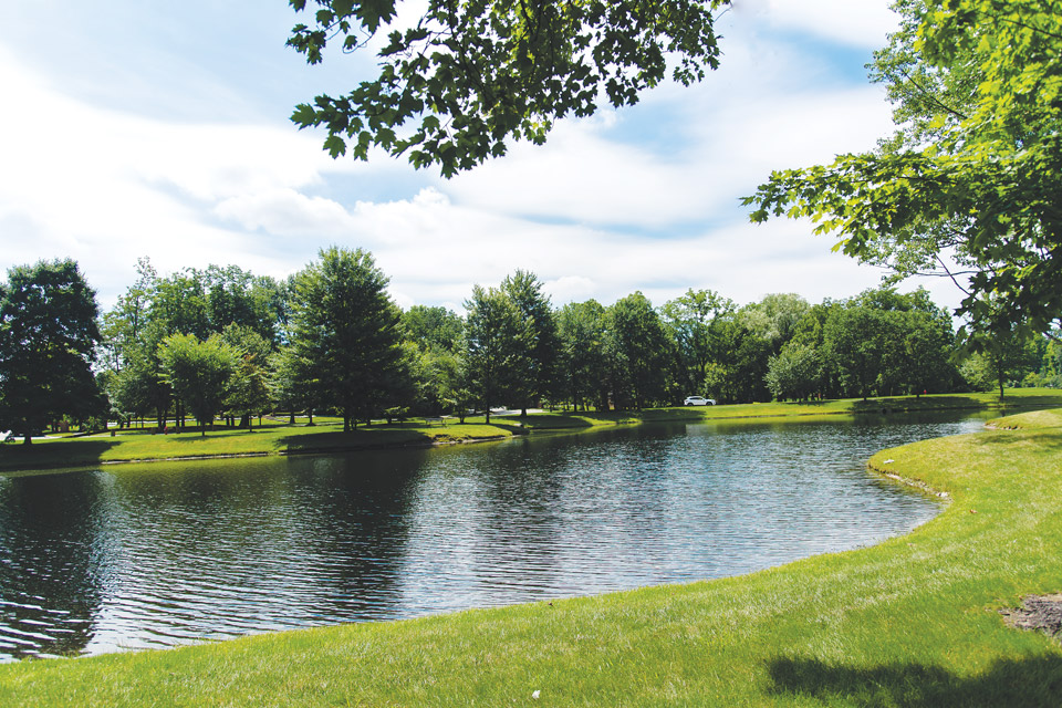 Neighborhood pond