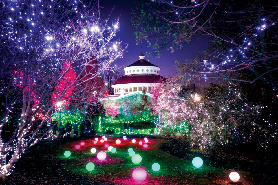 PNC Festival of Lights (photo by Derek Dammann)