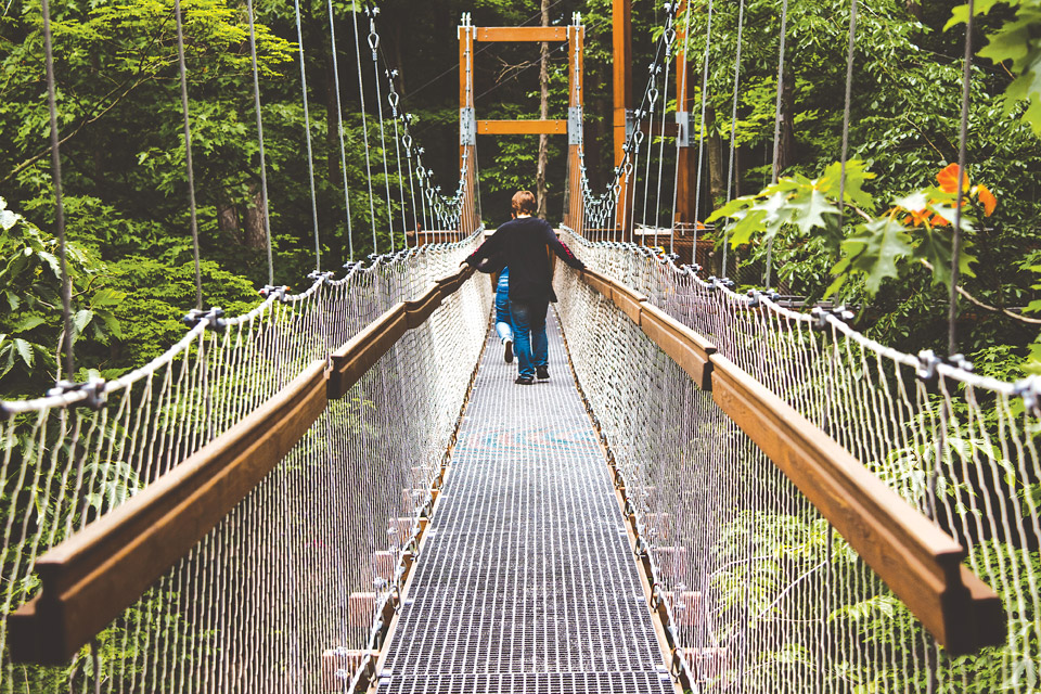 Holden Arboretum's Canopy Walk