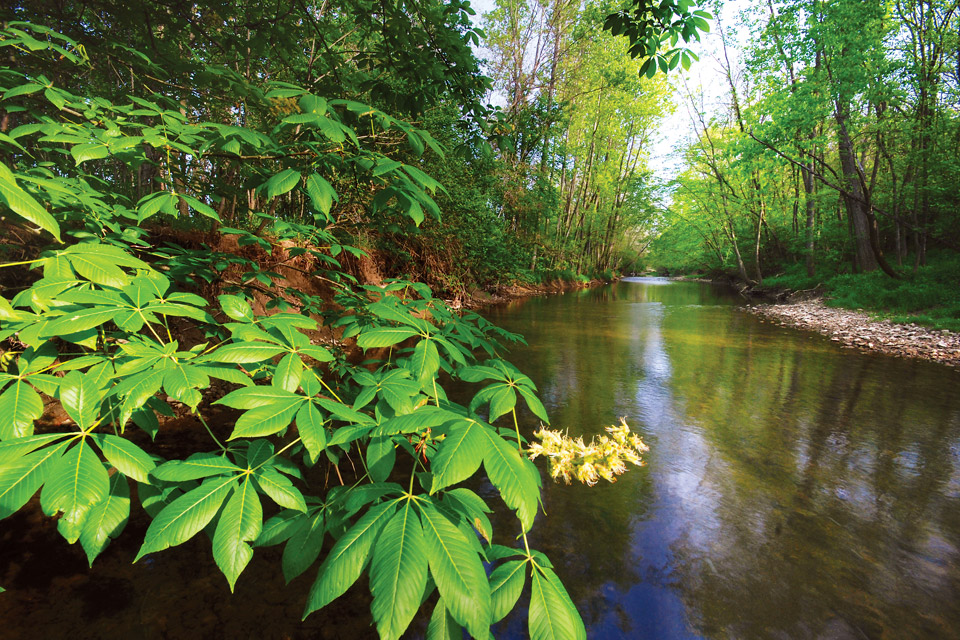 Big Darby Headwaters Nature Preserve (photo by Randall Schieber)