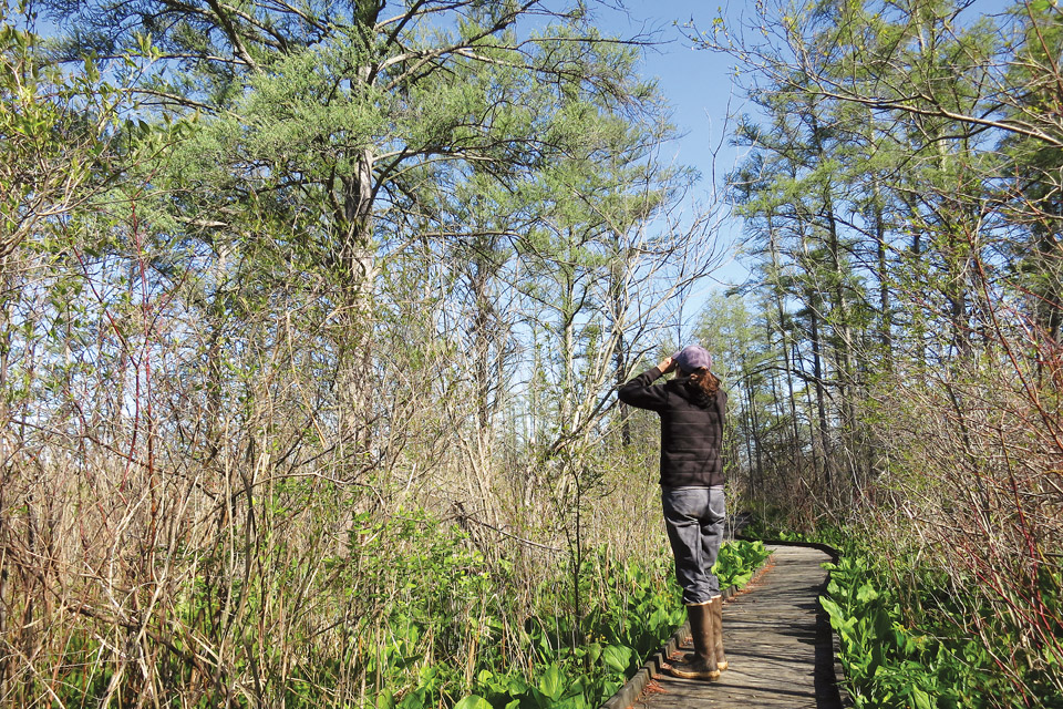 Herrick Fen (photo by Terry Seidel)