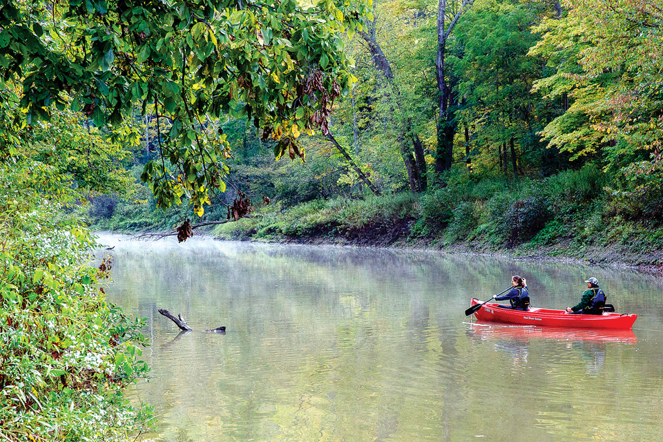 Morgan Swamp Preserve (photo by Kent Mason)