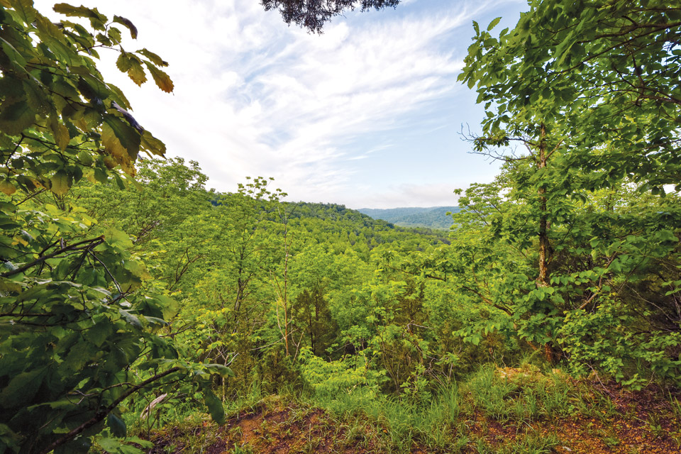 Edge of Appalachia Preserve System (photo by Randall Schieber)