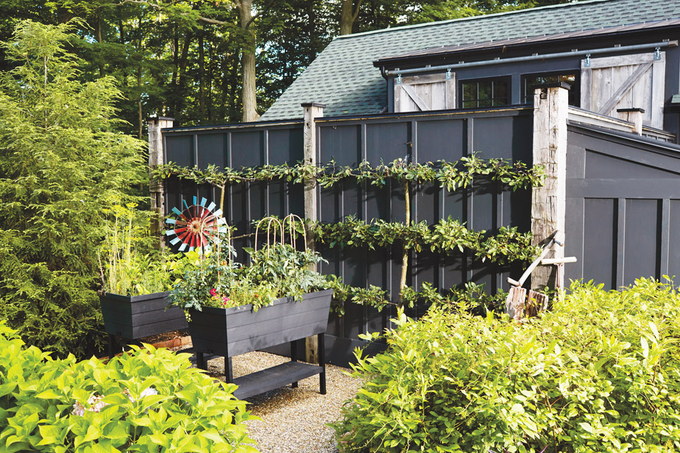 Herb and vegetable garden