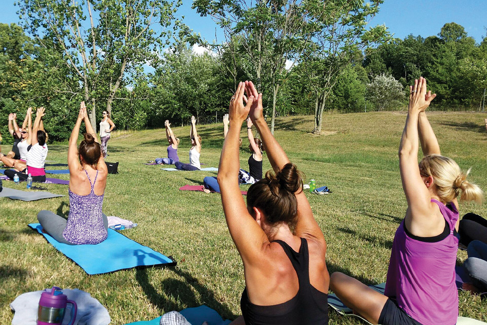 Breitenbach Vinyasa in the Vineyard