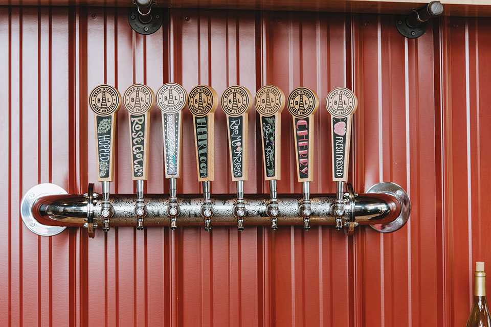 Bent Ladder Cider on Tap (photo by Kristen Jones)