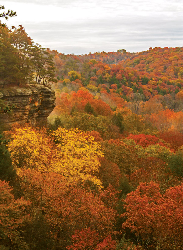 Conkles Hollow (photo by Aaron Pospisil)