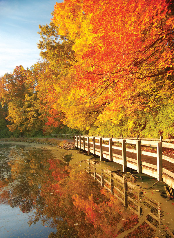 Sharon Woods State Park (photo by Darko Glazer)