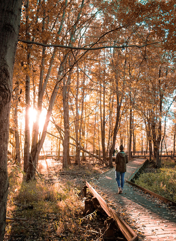 Maumee Bay State Park (photo by Logan Brown)