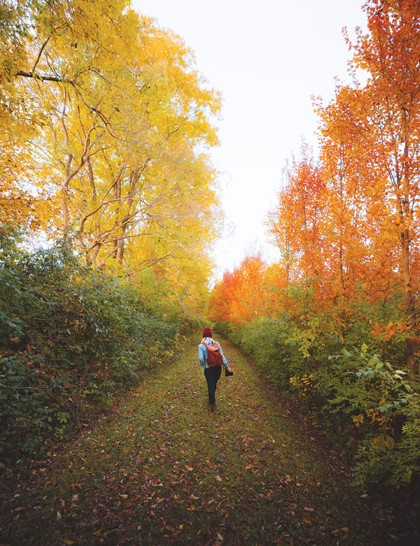 Walnut Woods Metropark (photo by Dylan Spitz)