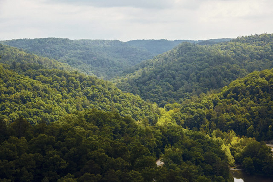 Kentucky Slade State Resort Park (photo courtesy of Kentucky Department of Tourism)