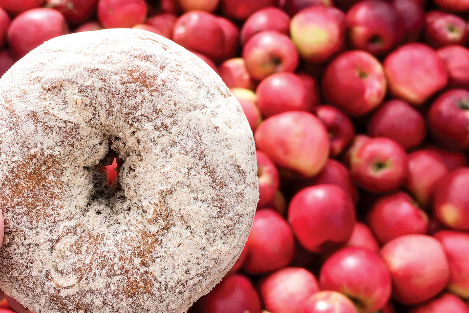 Uncle John's Cider Mill Donut (photo courtesy of Uncle John's Cider Mill)