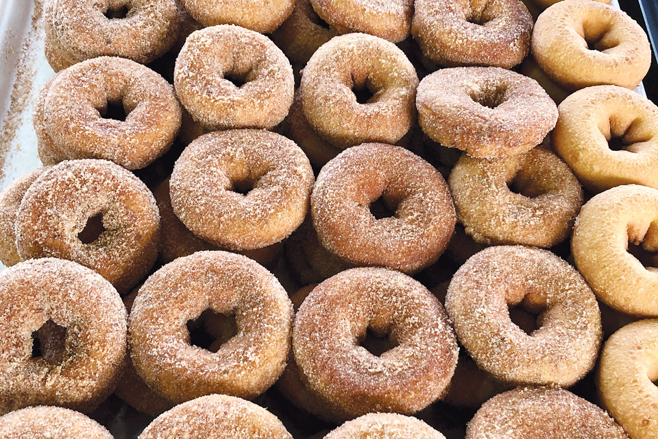 Michigan VerHage Donuts (photo courtesy of VerHage's Fruit Farms & Cider Mill)