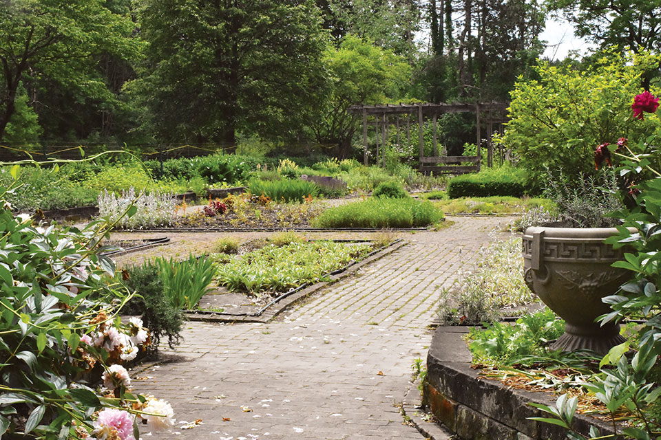 Quail Hollow Park's garden