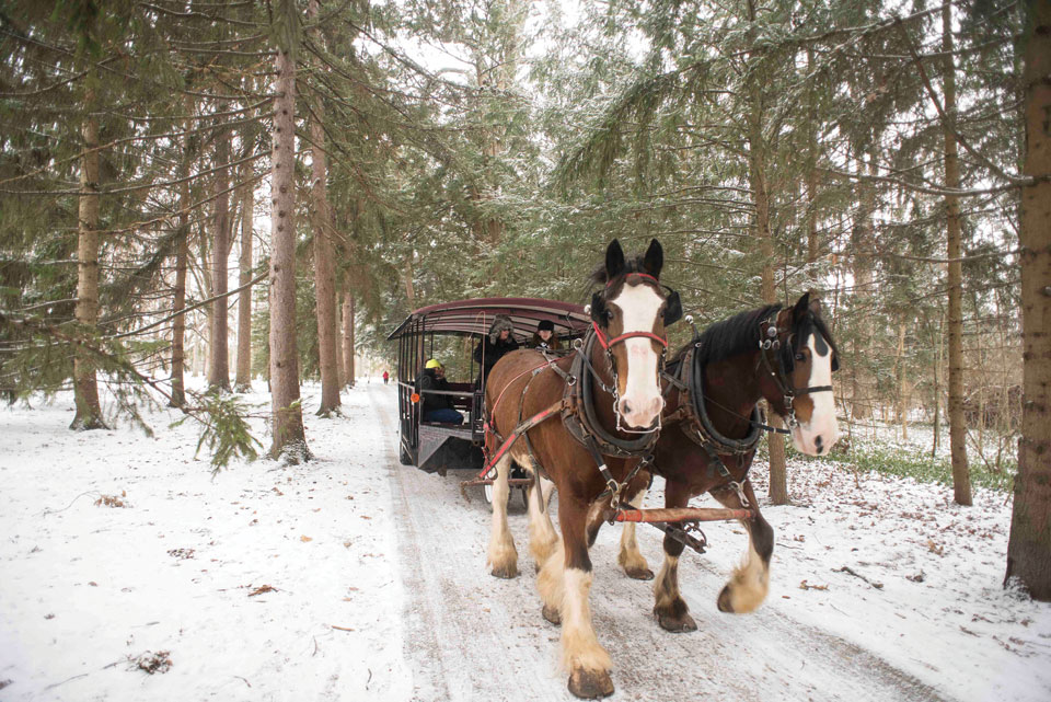 Sleigh Rides at Spiegel Grove (photo by Kristina Smith)