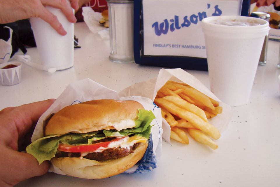 Wilson's Sandwich Shop hamburger and fries