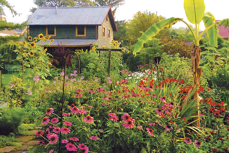 Clifton Garden Cabin (photo courtesy of Clifton Garden Cabin)