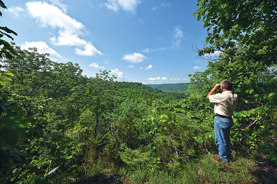 Edge of Appalachia Preserve System Portman Trail overlook (photo by Randall Schieber)