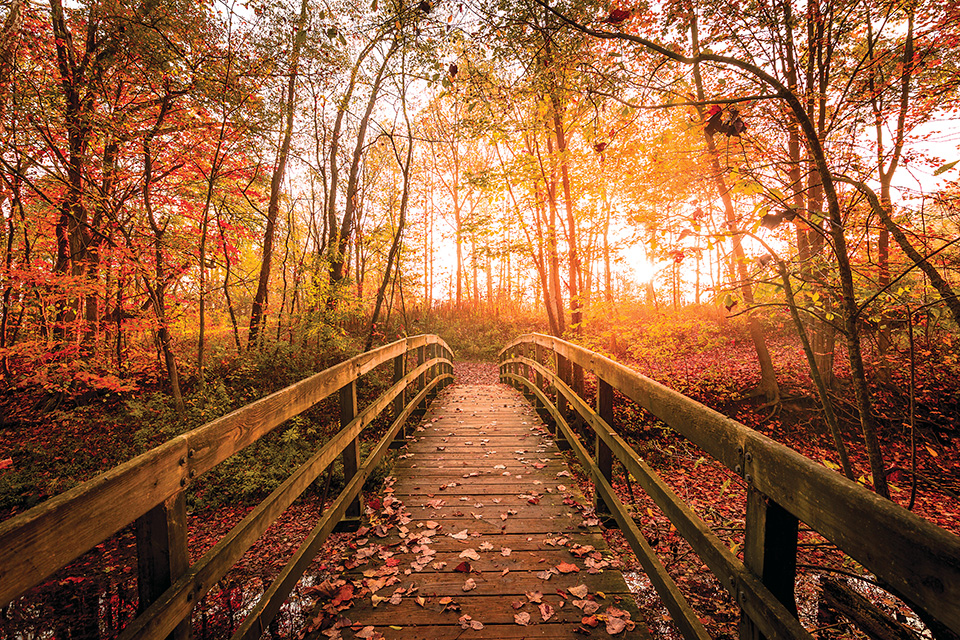 Hubbard Valley Park (photo by Nick Hoeller)