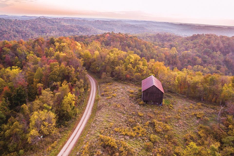 Wayne National Forest (photo by Bruce Wunderlich)