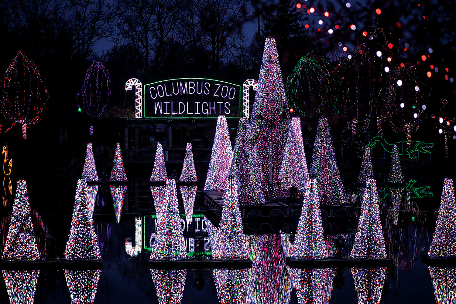 Columbus Zoo Wildlights (photo by Grahm S. Jones)