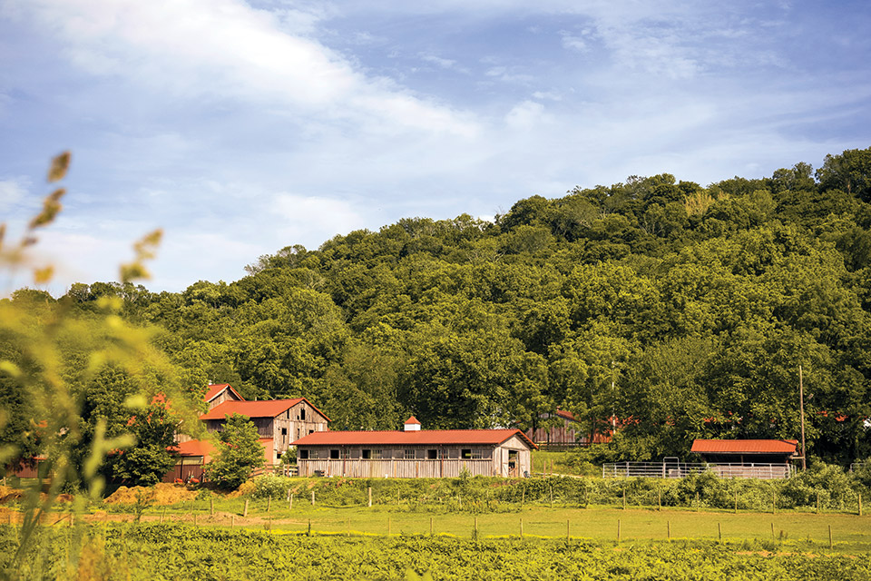 Carriage House Farm exterior (photo by Matthew Allen)