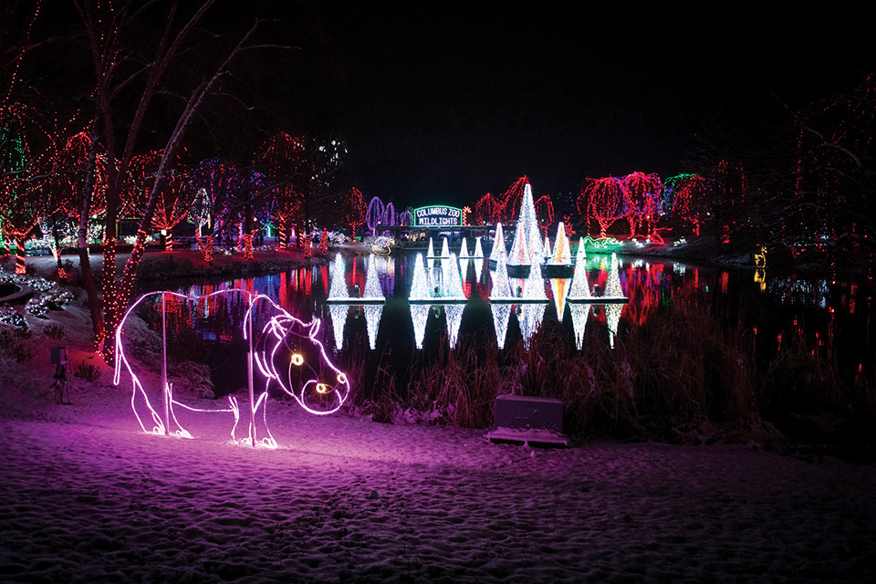 Conservatory Aglow (photo courtesy of Franklin Park Conservatory & Botanical Gardens)