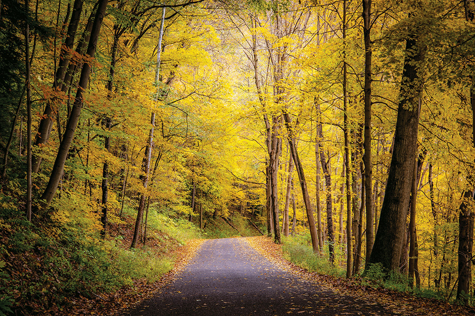 Beaver Creek State Park path (photo by Darren Walker)