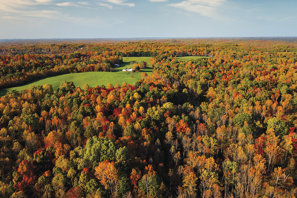 Wayne National Forest aerial view in fall (photo by Daniel Woodcock)