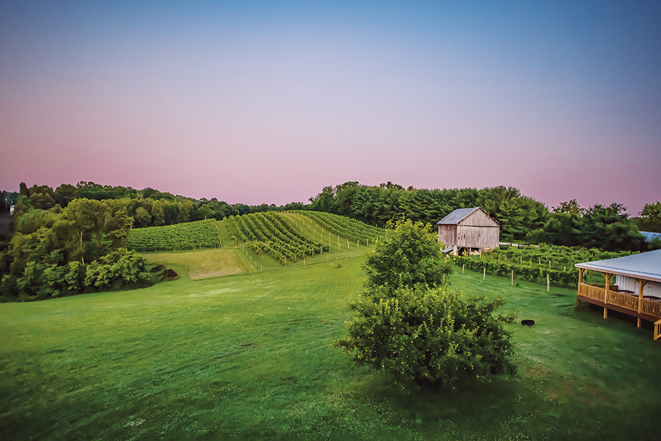 Le Petit Chevalier Vineyards and Farm Winery field (photo courtesy of Le Petit Chevalier Vineyards and Farm Winery)