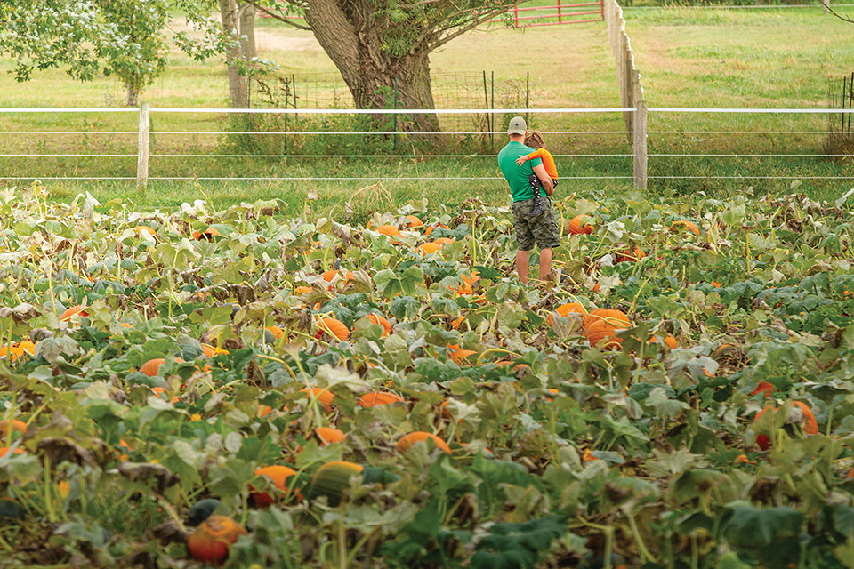 Lynd Fruit Farm dad and daughter in pumpkin patch (photo courtesy of Lynd Fruit Farm)