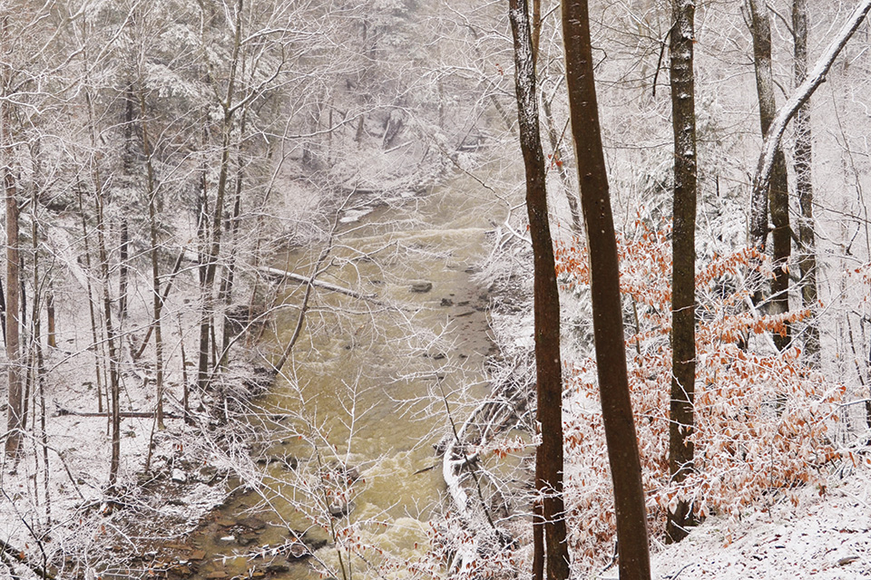 Brandywine Gorge Trail (photo by Tom Bilcze)