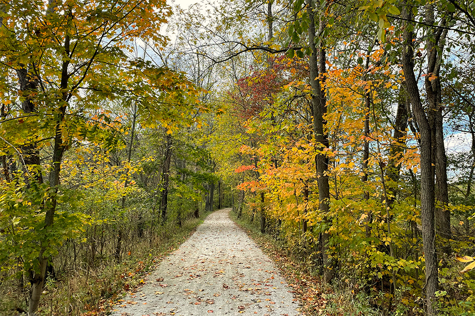 Southern portion of the Ohio & Erie Canal Towpath Trail in the fall (photo by Jim Vickers)iage (photo by Jim Vickers)